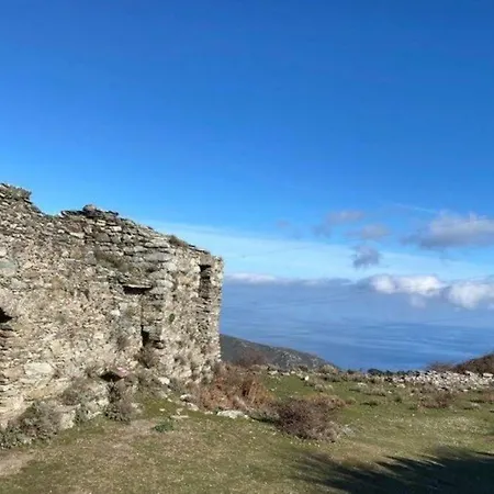 Appartamento Rez De Avec Terrasse Vue
