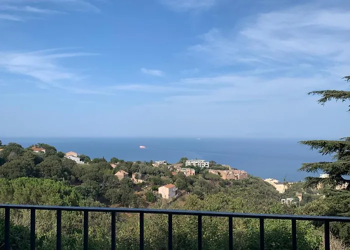 Daire Rez De Avec Terrasse Vue *